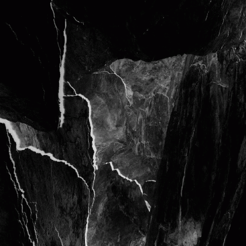 Bosc Fosc : Confines del Ensueño Forestal